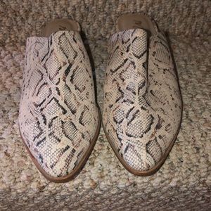 Snake skin shoes from LF